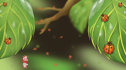 二十四節氣 | 驚蟄到，春意濃【杭州易造】