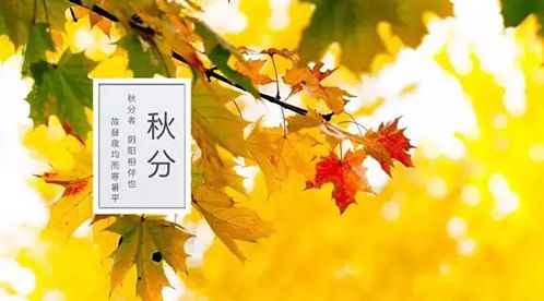 廿四節氣 | 秋分：秋向此時分【杭州易造】