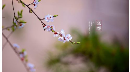 立春|一年四季春為首，莫負春日好時光——【易造科技】