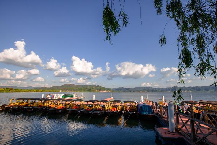 電源浪涌保護器