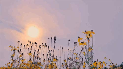 三八婦女節丨祝所有女神:愿你笑靨如花,一生不減芳華-杭州易造