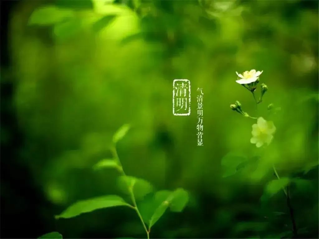 清明節(jié)——清明時節(jié)雨紛紛，路上行人欲斷魂