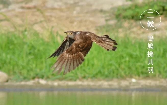 谷雨|雨生百谷,萬象更新
