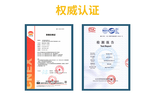 雷電流記錄儀-認證