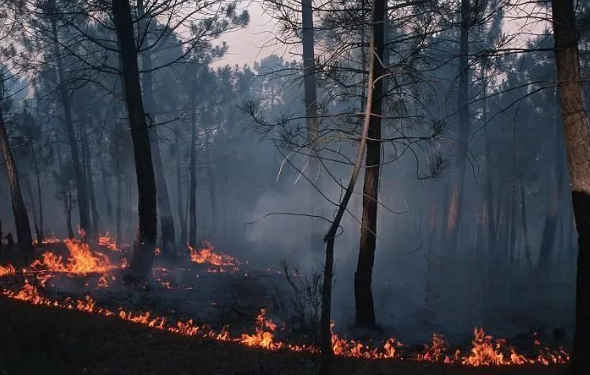 景區(qū)雷電預(yù)警系統(tǒng)